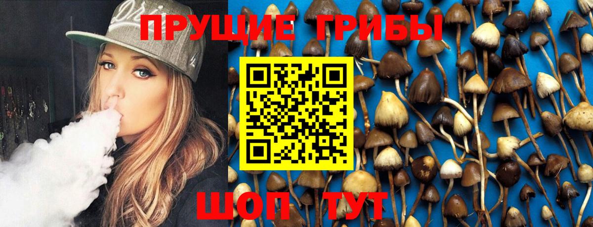 Галлюциногенные грибы MAGIC MUSHROOMS  Вход с VPN  Елец  Галлюциногенные грибы прущие грибы 